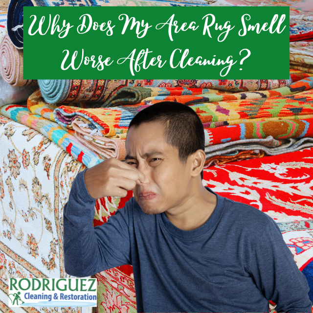 Why Does My Area Rug Smell Worse After Cleaning? Why Does My Area Rug Smell Worse After Cleaning? Why Does My Area Rug Smell Worse After Cleaning? Why Does My Area Rug Smell Worse After Cleaning?