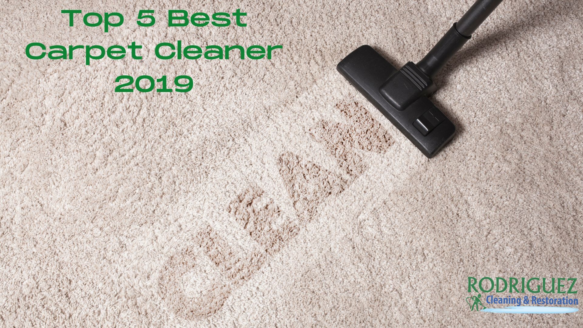 Top 5 Best Carpet Cleaner 2019 louisville ky