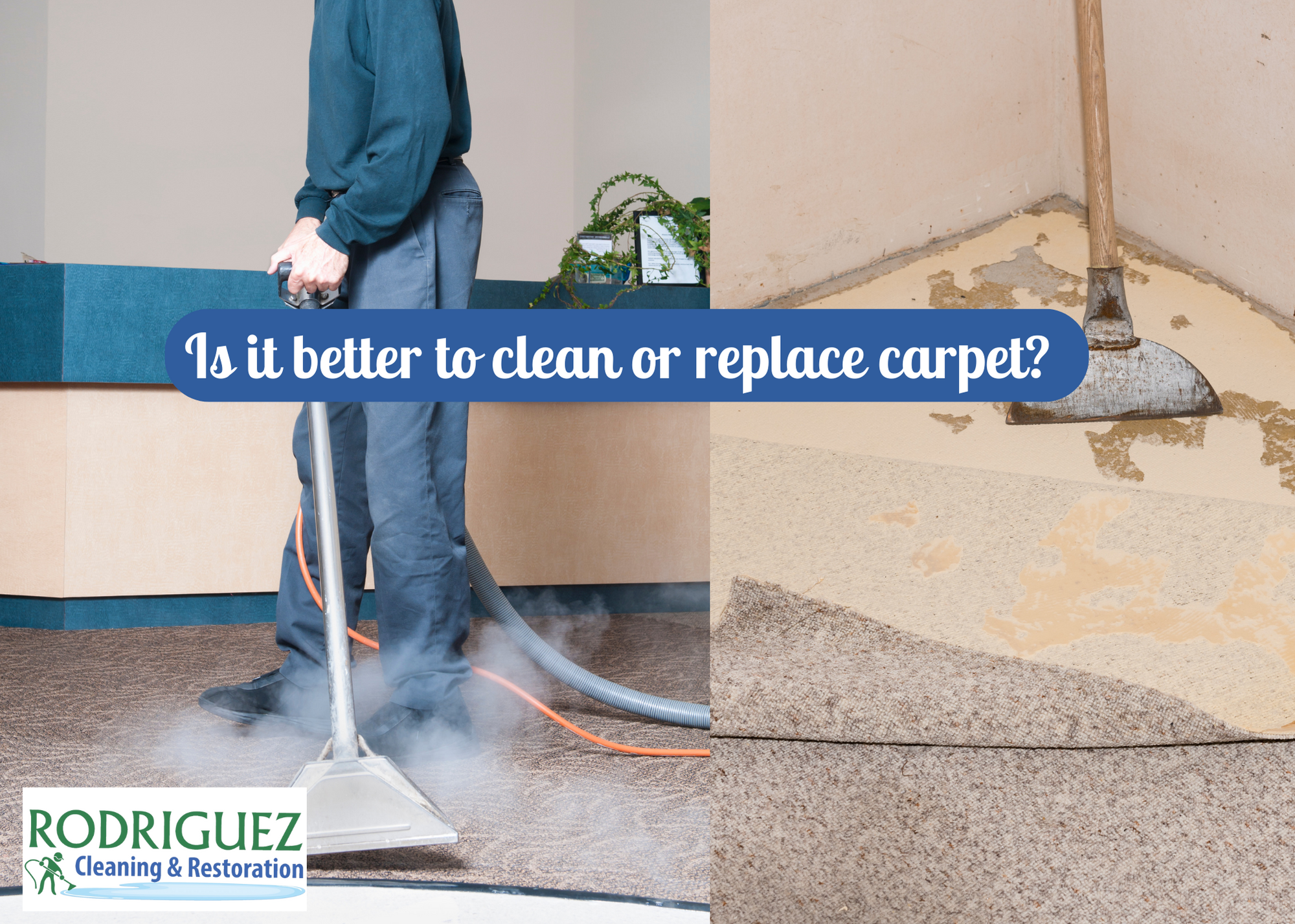 Is it better to clean or replace carpet? Is it better to clean or replace carpet? Is it better to clean or replace carpet? Is it better to clean or replace carpet?