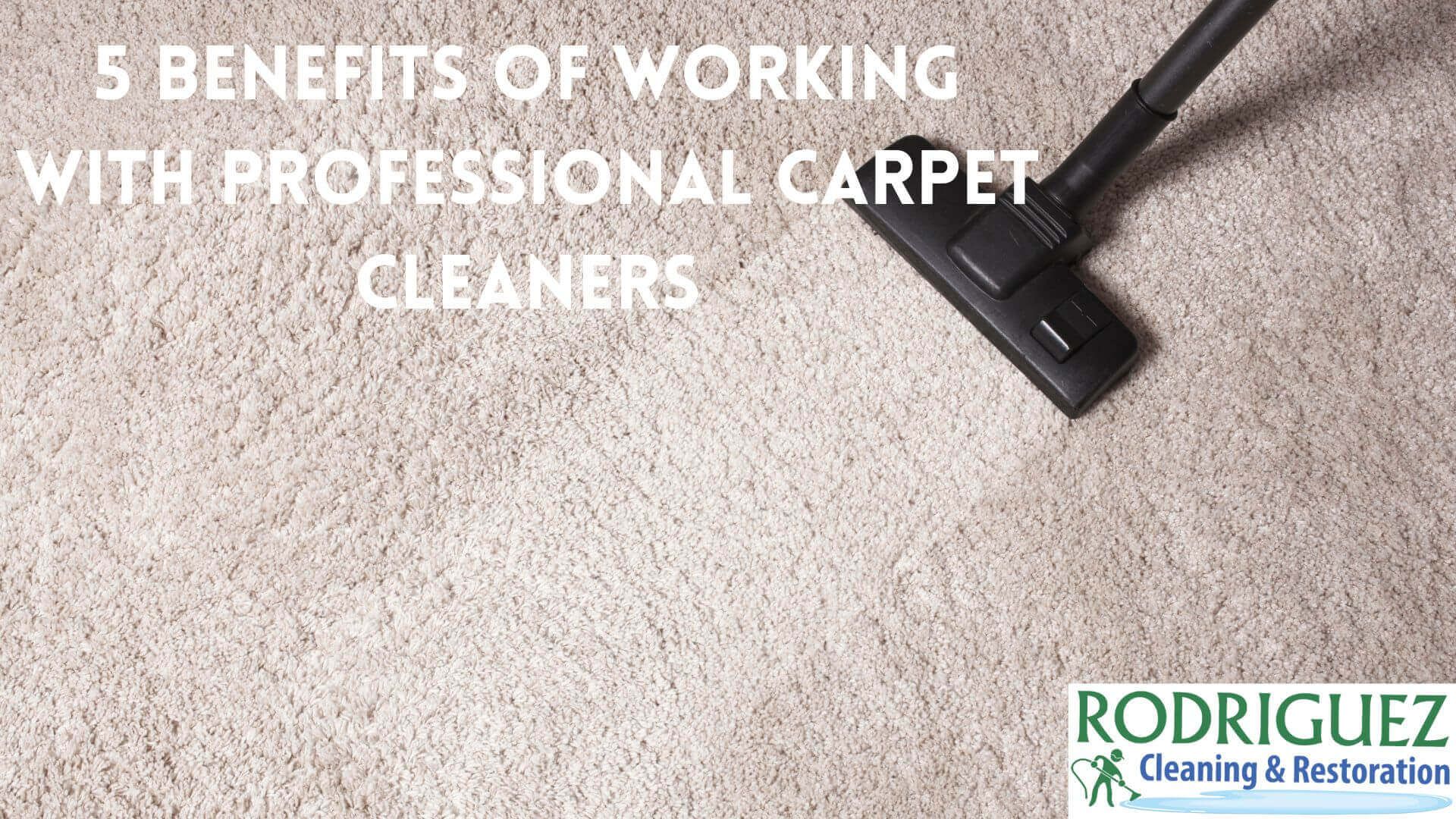 5 Benefits of Working with Professional Carpet Cleaners Louisville KY 5 Benefits of Working with Professional Carpet Cleaners Louisville KY 5 Benefits of Working with Professional Carpet Cleaners Louisville KY 5 Benefits of Working with Professional Carpet Cleaners Louisville KY 5 Benefits of Working with Professional Carpet Cleaners Louisville KY