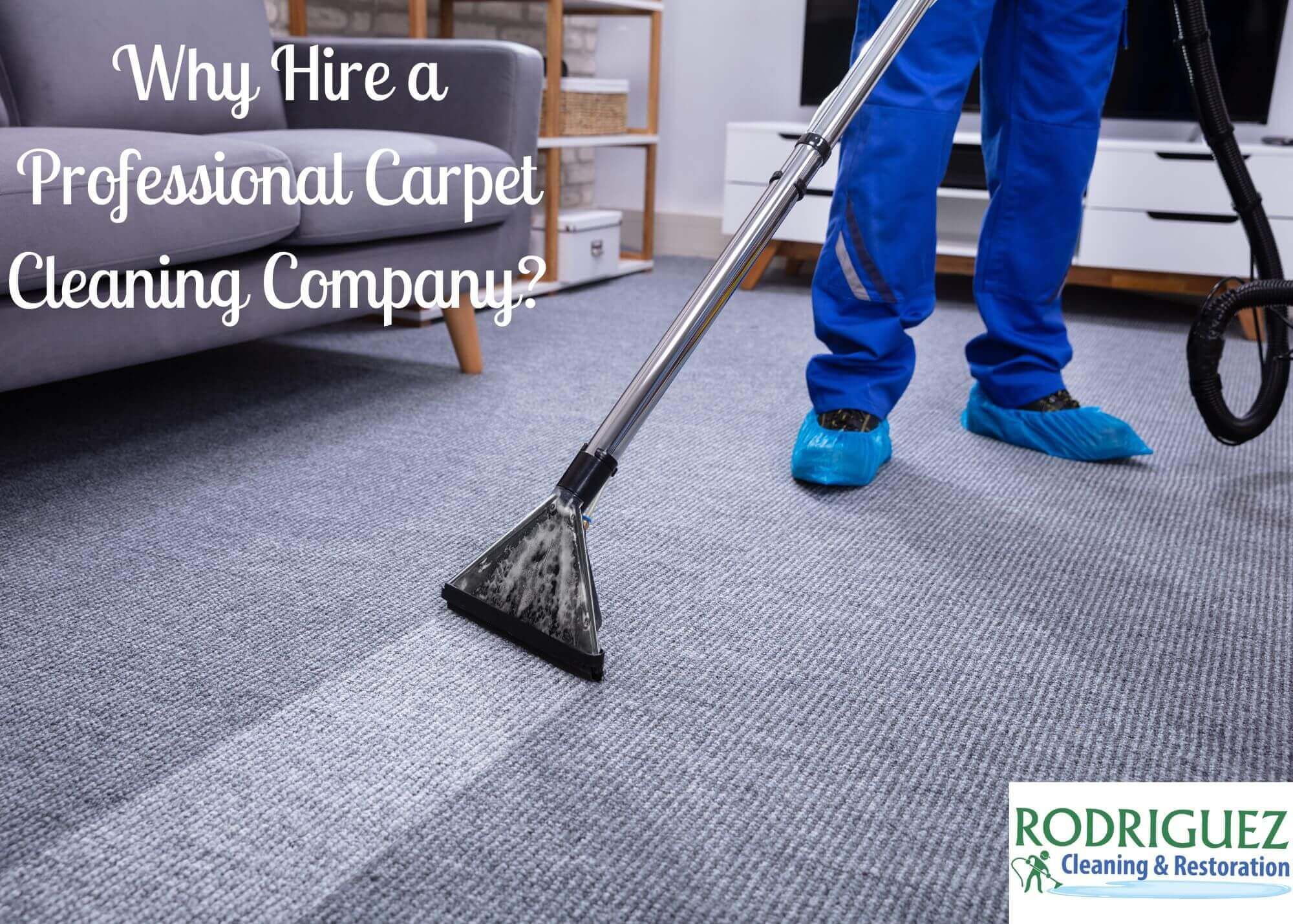 Why Hire a Professional Carpet Cleaning Company? Louisville KY Why Hire a Professional Carpet Cleaning Company? Louisville KY Why Hire a Professional Carpet Cleaning Company? Louisville KY Why Hire a Professional Carpet Cleaning Company? Louisville KY Why Hire a Professional Carpet Cleaning Company? Louisville KY