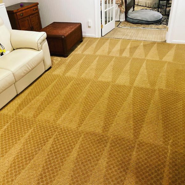 Carpet Cleaning Results