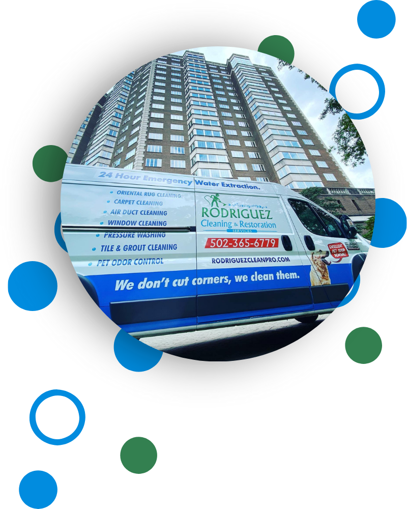 Commercial Carpet Cleaning Near You