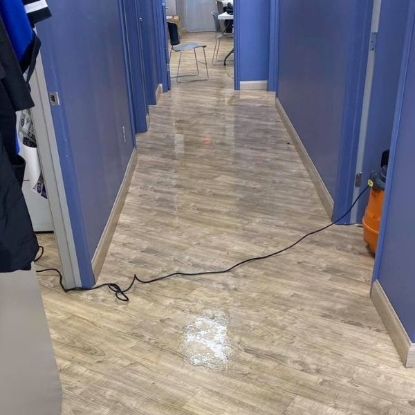 Carpet Cleaning Results